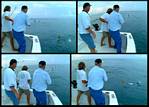 (03) montage (fishing).jpg    (1000x720)    287 KB                              click to see enlarged picture